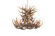 Il Series 9 Light 32.6 inch Brown Antler Chandelier Ceiling Light