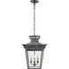 Chapman & Myers Elsinore 4 Light 14.5 inch Weathered Zinc Lantern Pendant Ceiling Light, Medium