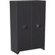 Bella 45 inch Charcoal Cabinet