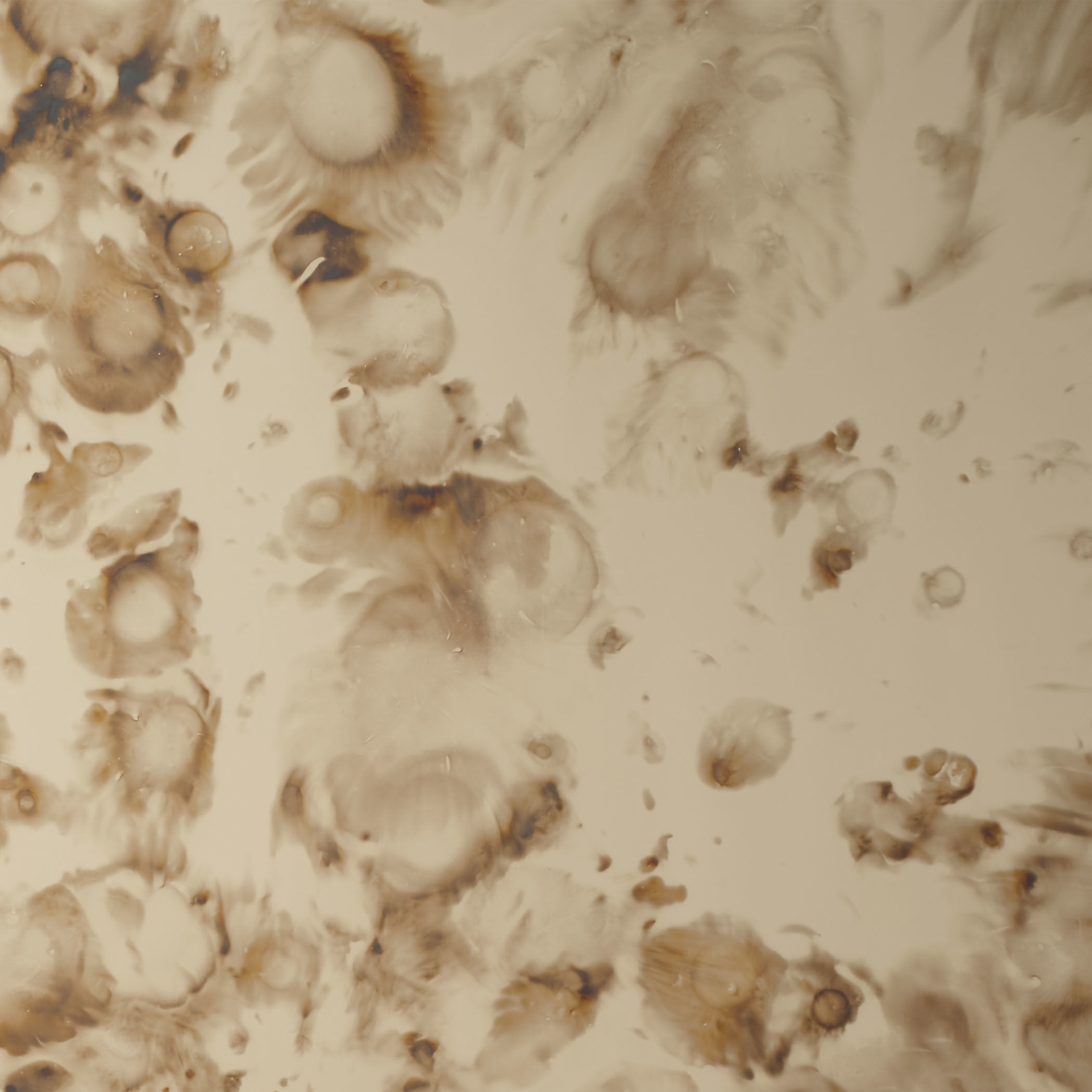 Versailles 48 X 36 inch Antique Glass Mirror, Inline