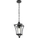 Belgrade 1 Light 7 inch Black Outdoor Pendant