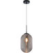 Maruna 1 Light 8.88 inch Matte Black and Smoked Pendant Ceiling Light