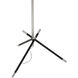 Thatcher 62.5 inch 150.00 watt Polished Nickel Floor Lamp Portable Light