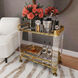 Butler Loft Charlevoix Acrylic & Gold 32 X 16 inch Polished Gold Serving Table