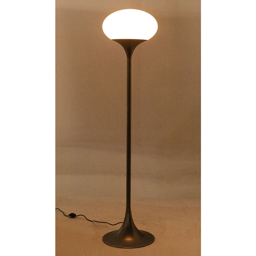 Drop 67 inch 60.00 watt Gun Metal Floor Lamp Portable Light
