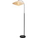 Roswell 63 inch 9 watt Matte Black Floor Lamp Portable Light