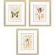 Nature's Wonder Yellow and Multi and Beige Framed Art, Propac