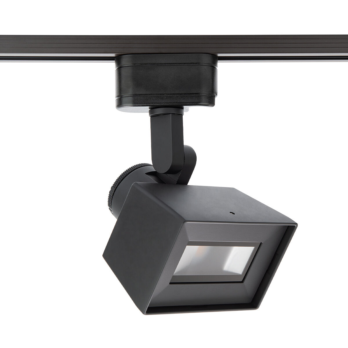 Tyler 120 Track Head Ceiling Light