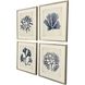 Indigo Sea Life Blue and Beige Framed Art