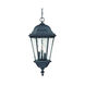 Telfair 3 Light 13 inch Matte Black Exterior Hanging Lantern