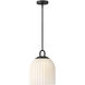 Paige 1 Light 11 inch Black Pendant Ceiling Light