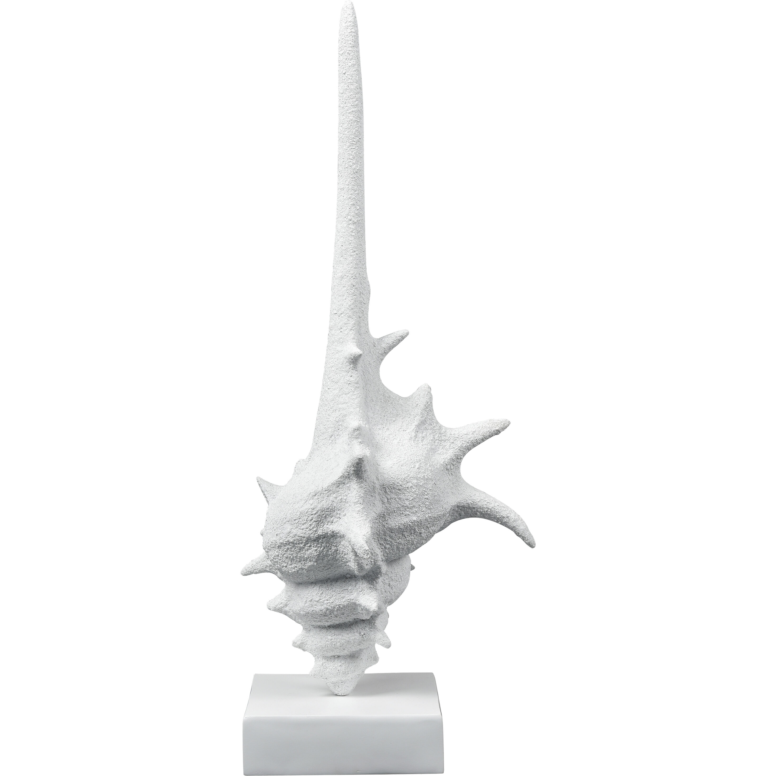 Tigertail Textured White Shell