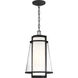 Anau 1 Light 10.5 inch Matte Black and Glass Outdoor Hanging Lantern