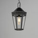 Oxford 1 Light 9.5 inch Black Outdoor Pendant