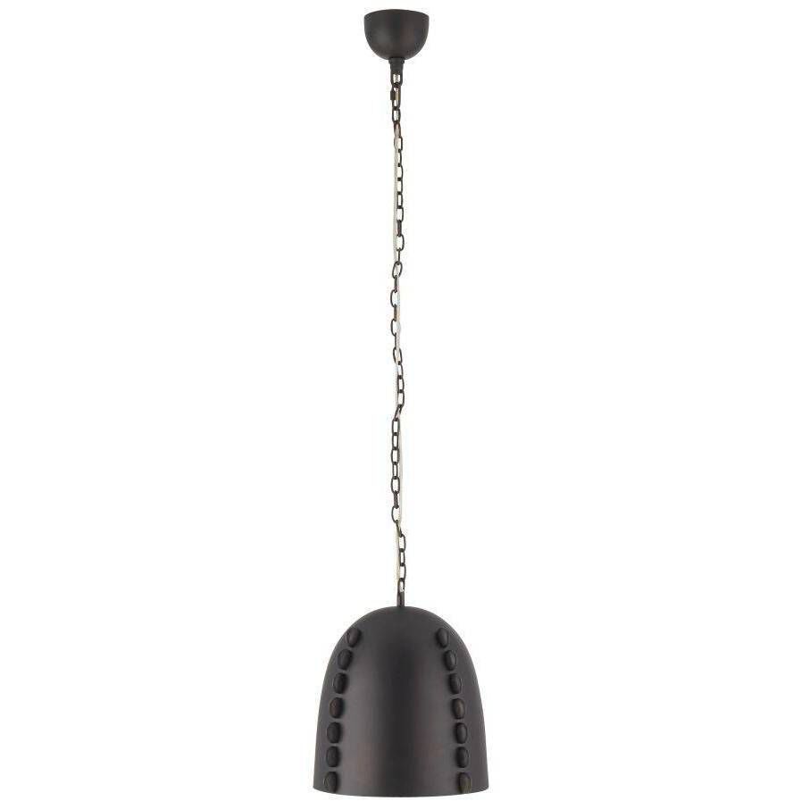 Hobbes 1 Light 13.5 inch Bronze Pendant Ceiling Light