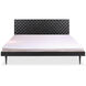 Pablo Black Bed, Queen