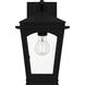 Huck 1 Light 13.25 inch Earth Black Outdoor Wall Lantern, Medium