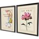 Le Fleur Multi and Pink and Yellow and White Framed Art