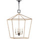 Denison 4 Light 26 inch Mole Black Lantern Pendant Ceiling Light, Large