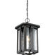 Everglade 1 Light 10.5 inch Earth Black Outdoor Hanging Lantern