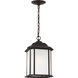Kent 1 Light 8.38 inch Oxford Bronze Outdoor Pendant