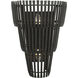 Apollo 2 Light 12 inch Carbon Black Wall Sconce Wall Light