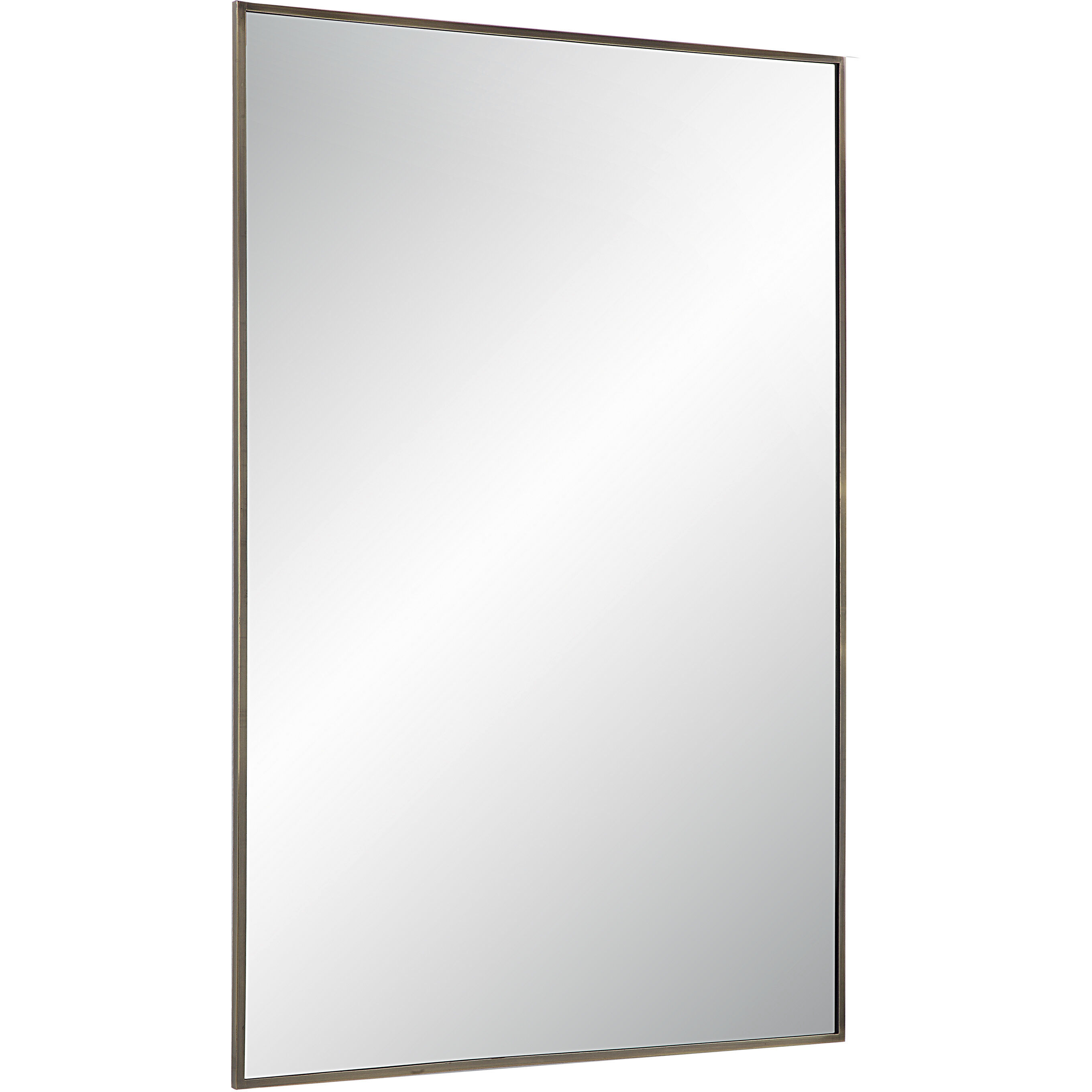 Cider 45 X 30 inch Brushed Bronze Wall Mirror