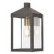 Nyack 1 Light 12.75 inch Bronze with Antique Brass Finish Cluster and Polished Chrome Stainless Steel Reflector Small Outdoor Wall Lantern