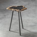 Mircea 20 X 16 inch Natural Petrified Wood and Aged Black Accent Table