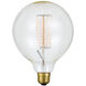 Edison Incandescent T8 E26 60 watt 120V 2200K Bulb