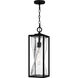 Zarah 1 Light 7 inch Matte Black Outdoor Hanging Lantern, Large