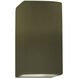Ambiance 1 Light 7.25 inch Matte Green Wall Sconce Wall Light