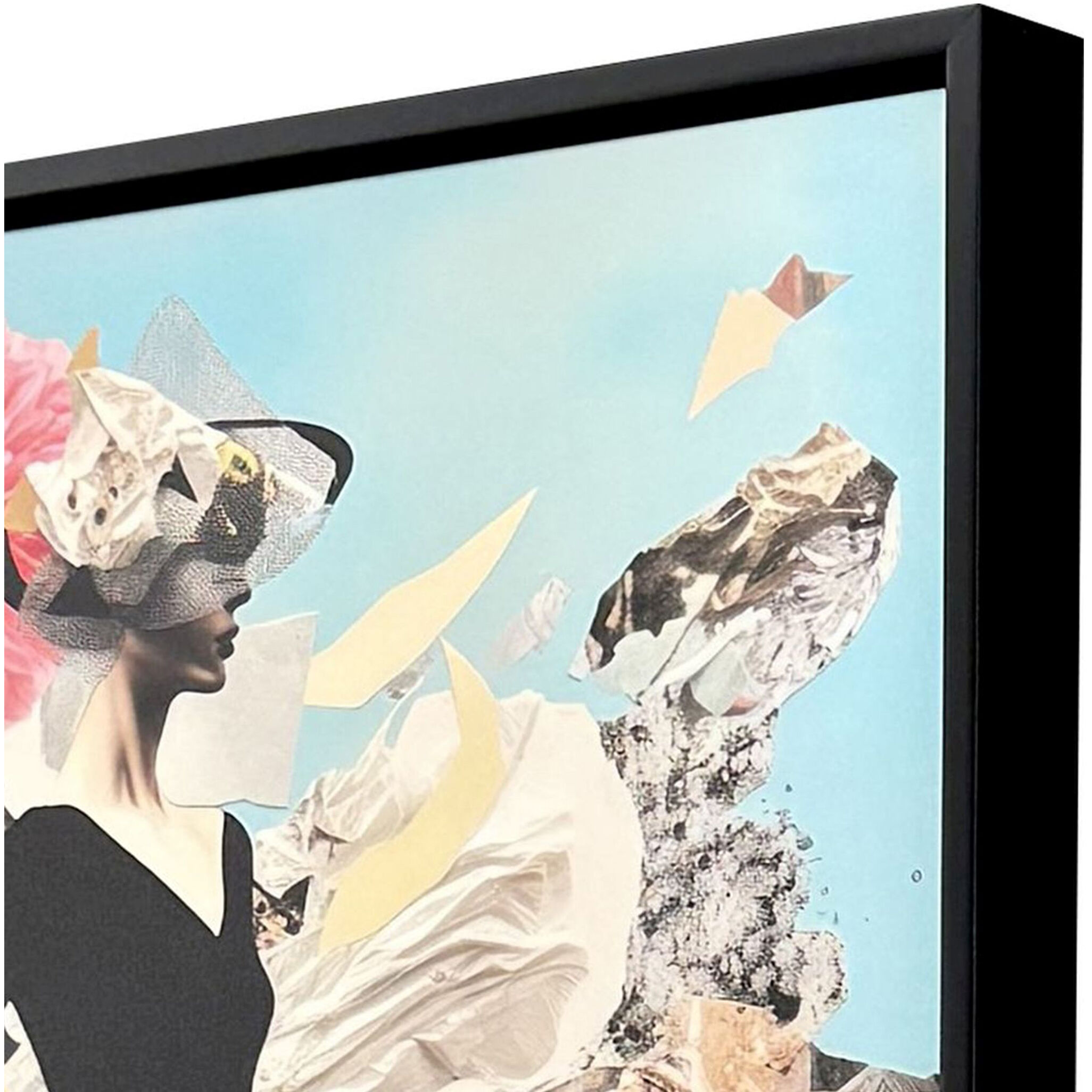 Fashionable Impression Black and Blue and Multi and Pink Canvas
