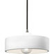Radiance Collection 1 Light 12 inch Brushed Nickel Pendant Ceiling Light