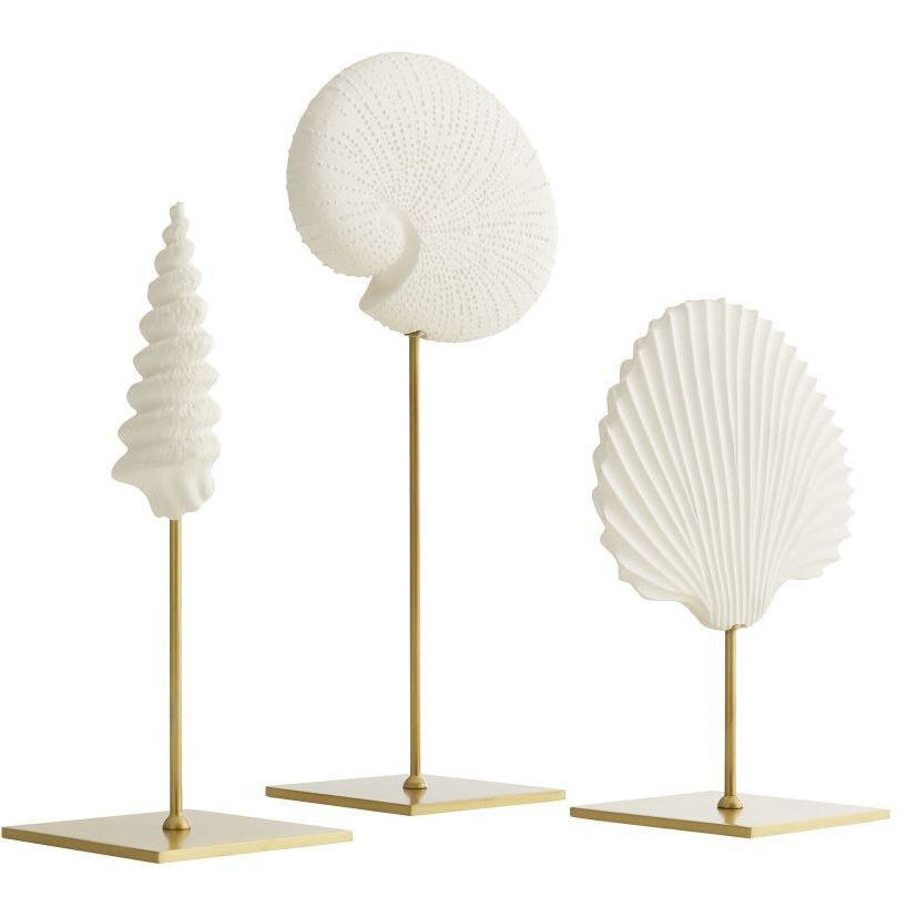 Shell 14 X 7 inch Sculptures, Set of 3