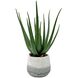 Veranda Aged White and Blue-Gray Indoor Outdoor Aloe Plant