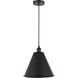 Edison Cone 1 Light 12 inch Matte Black Mini Pendant Ceiling Light
