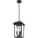 Riggs 3 Light 8 inch Black Outdoor Pendant