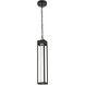 Amaris 1 Light 4 inch Black Outdoor Pendant