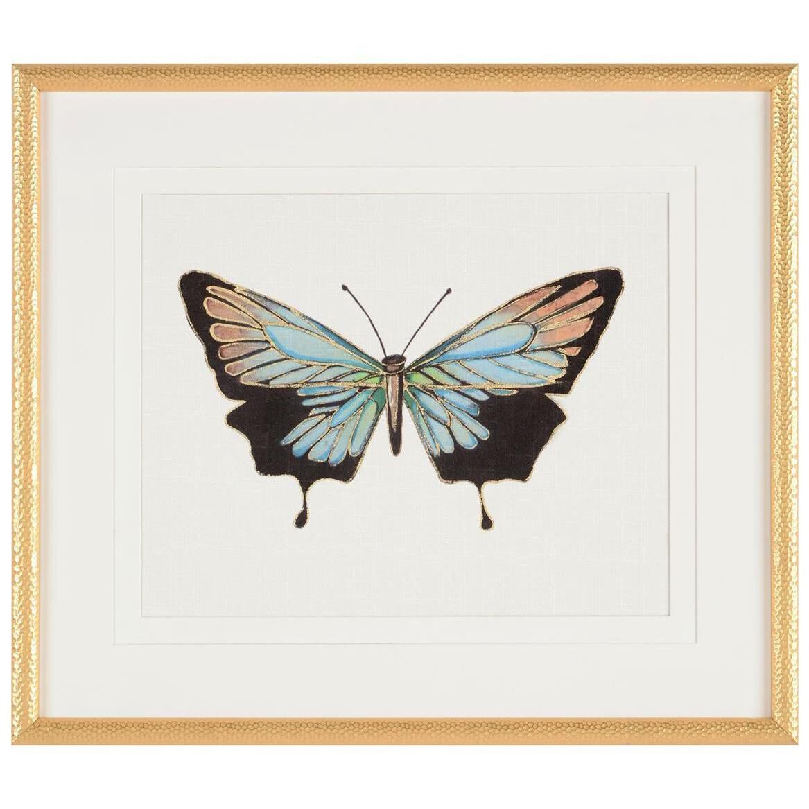 Beautiful Wings I by Joy Colangelo Giclees, Animal