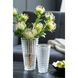 Anita 8.9 X 4.9 inch Vase