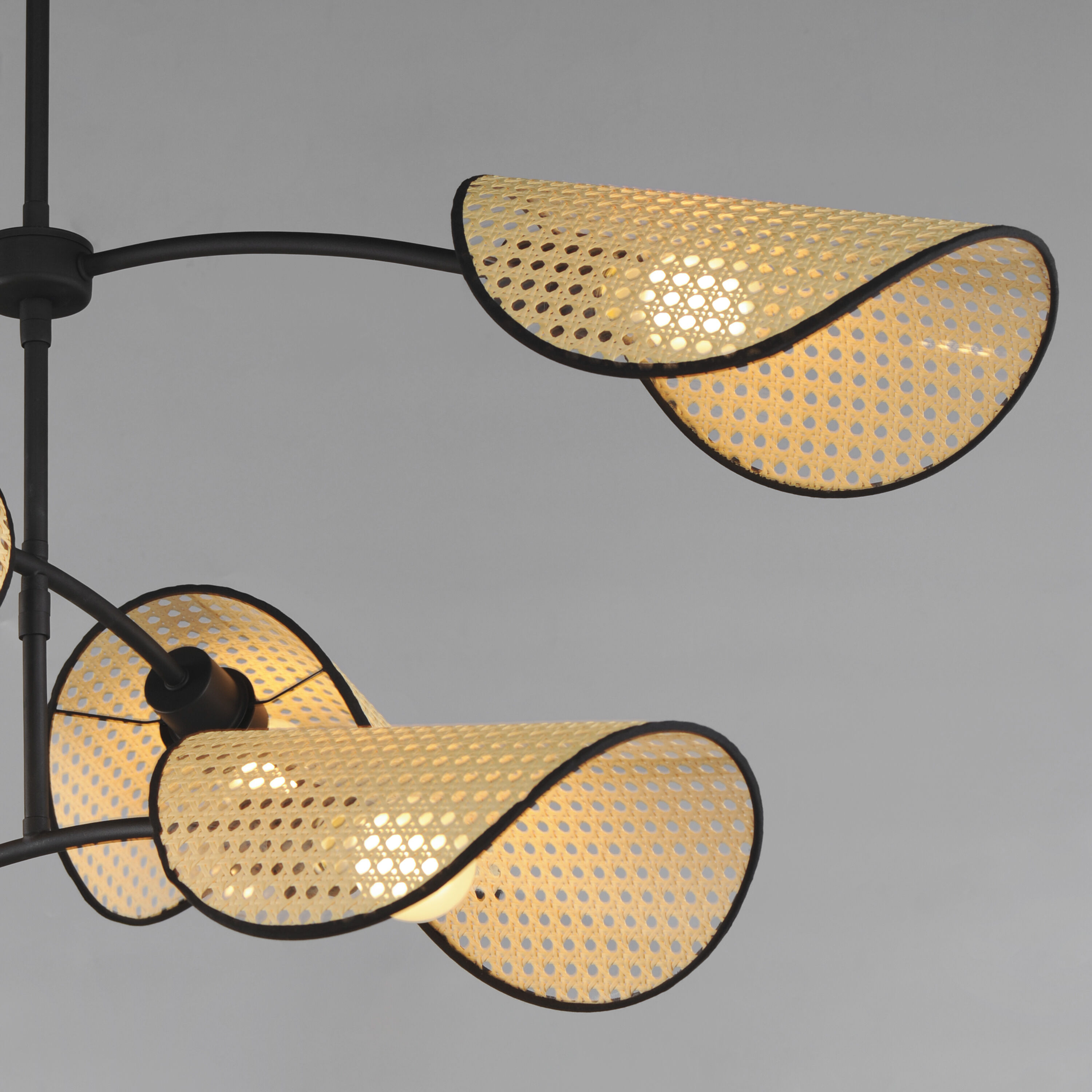 Bonnet 6 Light 9 inch Black Multi-Light Pendant Ceiling Light