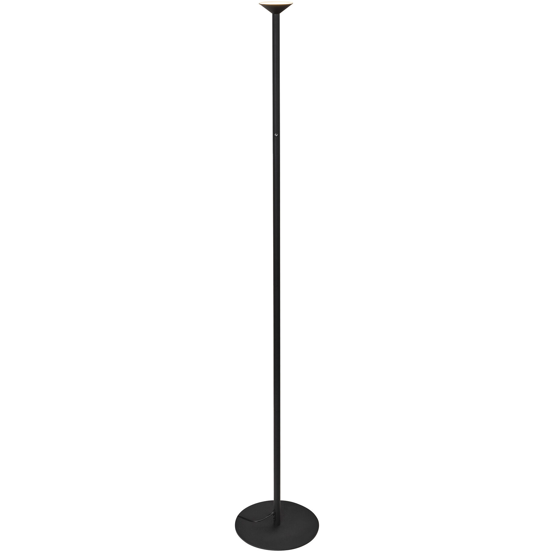 Valor 78.13 inch 15 watt Black Floor Lamp Portable Light