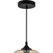 Glass 1 Light 7 inch Black Down Mini Pendant Ceiling Light in Cognac