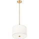 Linden Pendant Ceiling Light in Modern Gold