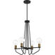 Ravella 4 Light 20 inch Black Chandelier Ceiling Light