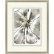 Gilded Petal Expansion Gray and Black and Metallic and Neutral Framed Art