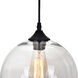Glass 1 Light 10 inch Black Down Mini Pendant Ceiling Light in Clear