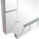 Caterina 72 X 30 inch Champagne Mirror