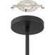 Courtney LED 12 inch Textured Black Convertible Pendant Ceiling Light